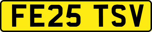 FE25TSV