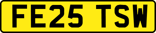 FE25TSW