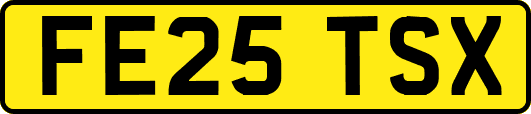 FE25TSX
