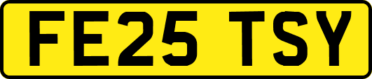 FE25TSY