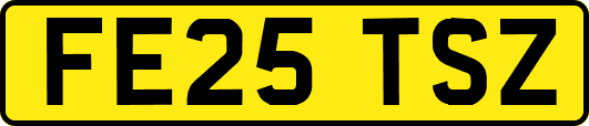 FE25TSZ