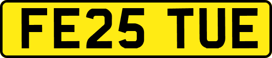 FE25TUE
