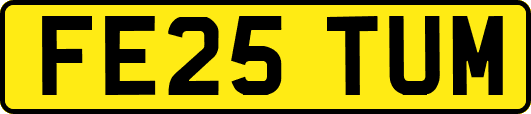 FE25TUM