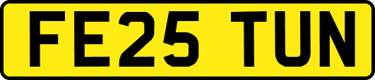 FE25TUN