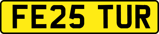 FE25TUR