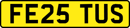 FE25TUS