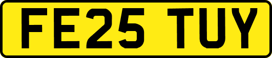 FE25TUY