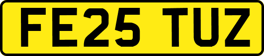 FE25TUZ