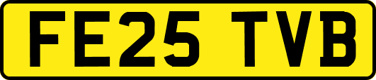 FE25TVB