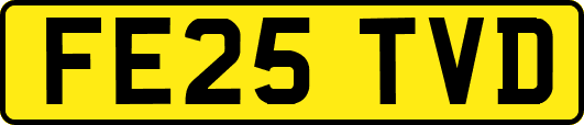 FE25TVD