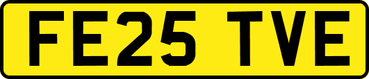 FE25TVE