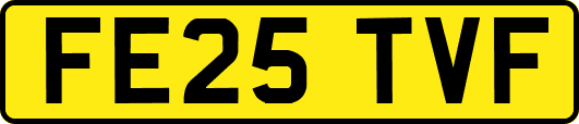 FE25TVF