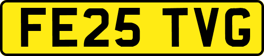 FE25TVG