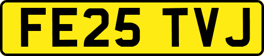 FE25TVJ