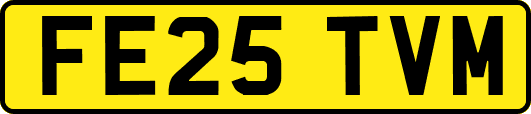 FE25TVM