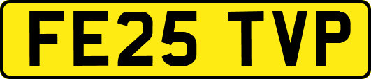 FE25TVP