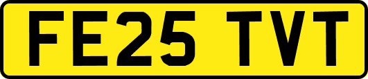 FE25TVT
