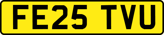 FE25TVU