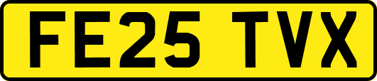 FE25TVX