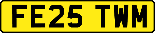 FE25TWM