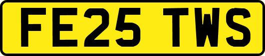 FE25TWS