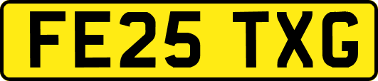FE25TXG