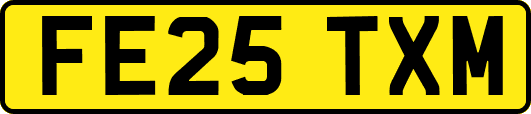 FE25TXM
