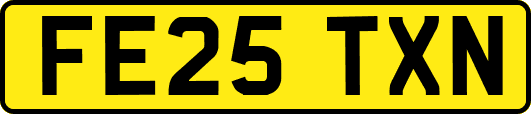 FE25TXN