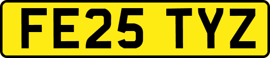 FE25TYZ