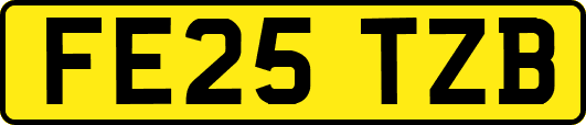 FE25TZB