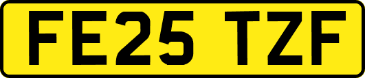 FE25TZF