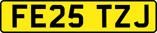 FE25TZJ