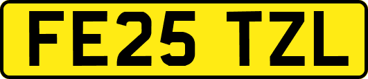 FE25TZL