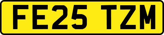 FE25TZM