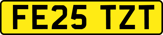 FE25TZT