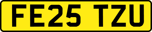 FE25TZU