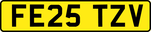 FE25TZV