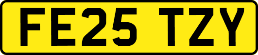 FE25TZY