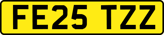 FE25TZZ