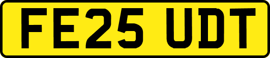 FE25UDT