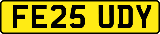 FE25UDY