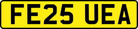 FE25UEA