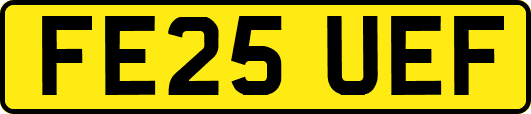FE25UEF