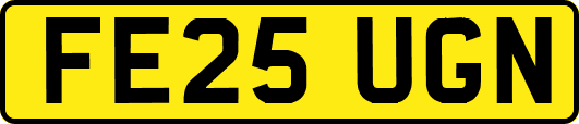 FE25UGN