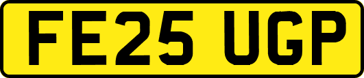 FE25UGP