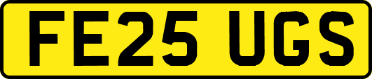 FE25UGS