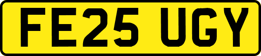 FE25UGY