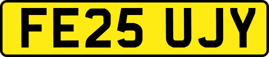 FE25UJY