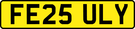 FE25ULY