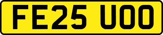 FE25UOO